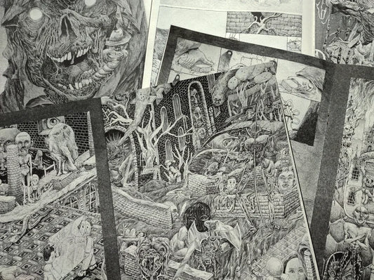"Three Thousand Bricks" Risograph Zine by Alonso Lassombra
